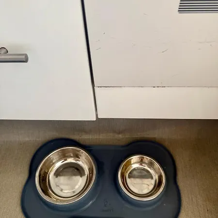 Joli Maison De Pecheur A 50m De La En Plein Centre * エトルタ