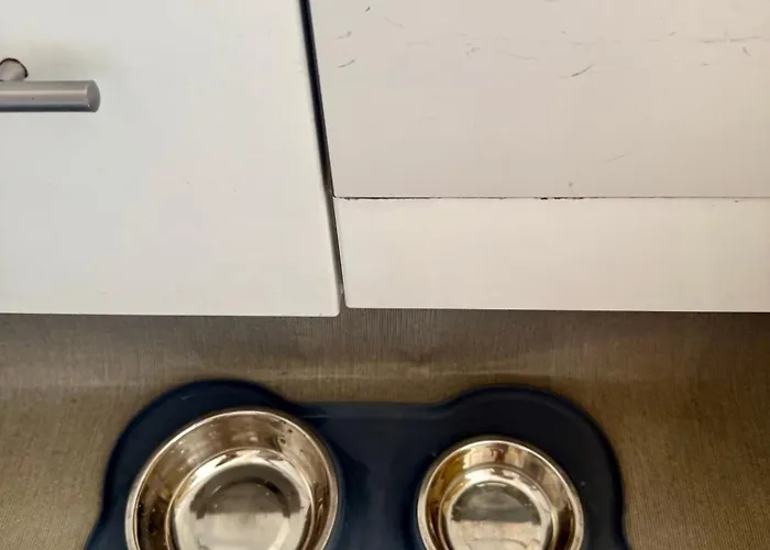 Joli Maison De Pêcheur à 50m De La En Plein Centre * Étretat
